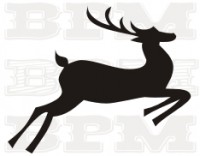 /album/fotogaleria-celtic/celtic-11-jpg/